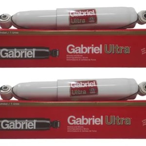 Amortiguadores Para Chevrolet Uplander 2005-2011 Traseros